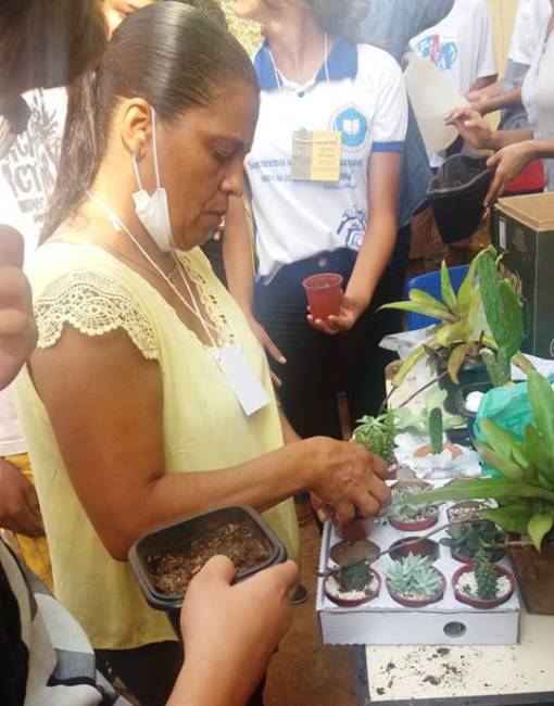 Oficina de horta e suculentas. Foto: Arquivo / Escola
